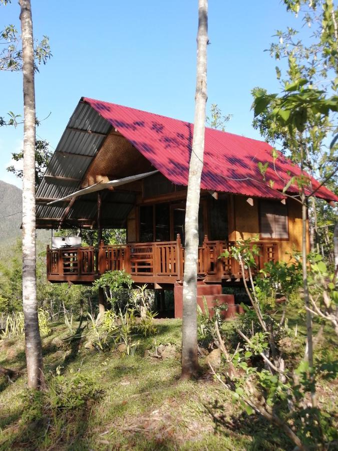 Villa Nagtabon Puerto Princesa Bagian luar foto