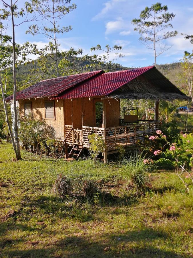 Villa Nagtabon Puerto Princesa Bagian luar foto